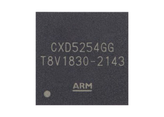CXD5254GG 전자 이미지 안정화 및 6 축 IMU와 함께 FCCSP-256 패키지 통합 회로 칩